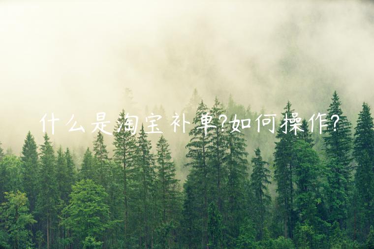 什么是淘寶補(bǔ)單?如何操作?